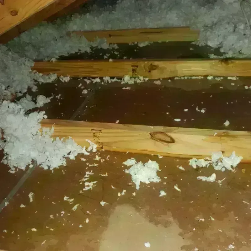 Attic Water Damage in Toluca, IL