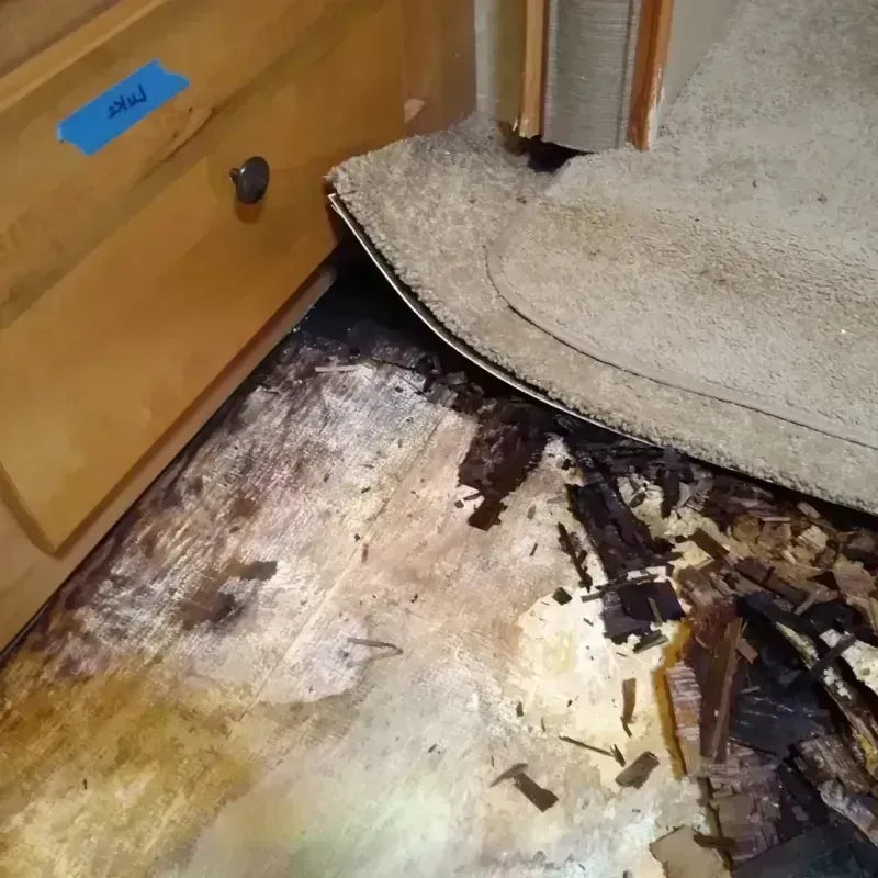 Wood Floor Water Damage in Toluca, IL